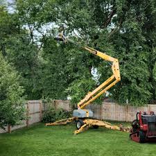 Best Tree Planting Services  in Elm Creek, NE