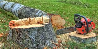 Best Tree Removal Service  in Elm Creek, NE